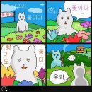 미방 Daum카페