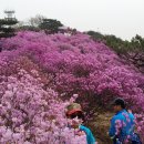 진달래노래방 이미지