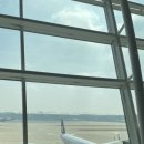 차암교차로 | 1년 지나고 되돌아보는 도쿄 여행기