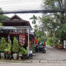 210095 | 태국 치앙마이 자유여행 날씨 9월 10월 우기 옷차림