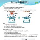 한국케트