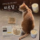 제주 공항 근처 카페 고양이 있는 카페 소품샵 미르담
