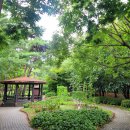 매탄(매여울공원) Daum카페