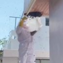 LA마마 Daum카페