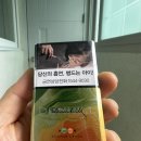던힐 | 두 개 캡슐로 피는 여름 한 입, 던힐 썸머 크러쉬 후기