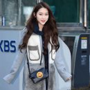 디자인지호