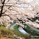 당하1호공원 이미지