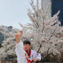 용인대 영웅태권도 이미지