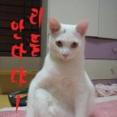 프라자통신