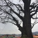 대룡카센타 이미지