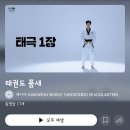 용인대창조태권도체육관 | 초등 태권도 승품심사란? 비용 연습 품새 품띠 품증 주의사항, 송내사회체육관 태권도 승품심사