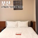 어반부띠크호텔 | 부산 해운대 가성비 숙소 추천 어반스테이 해운대역 호텔 후기