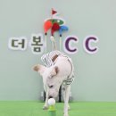 경기도 양평군 양평유치원 이미지