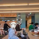 번영로농장 | [제주]투어패스 2일차(2)_오늘은녹차한잔(족욕), 낙타트래킹, 서귀포유람선 , 감귤체험농장후기