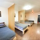 제주게토게스트하우스파티 이미지