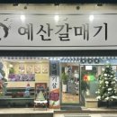 예산갈매기