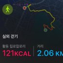 [부산/영도] 부산 야경 맛집 고양이 천국 &#39;봉래산&#39; 야간산행(편한 데크길 코스)