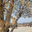 남산파출소 | 경주 남산 등산코스 추천 (삼릉 - 금오봉 - 용장골) 등산 후기