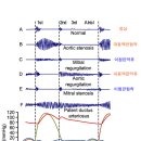 썬메디텍 이미지