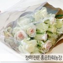 홍운농장 이미지