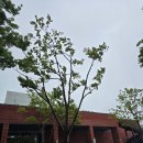 오대양스크린 | 설악산 품은 웰니스 리조트, 설해원 콘도(雪海園) 방문기 양양 명소