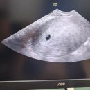 제일산부인과의원 이미지