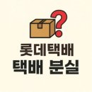 롯데택배 이미지