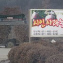 청마농장 이미지