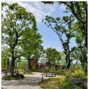 부동산씨티공인중개사사무소 이미지