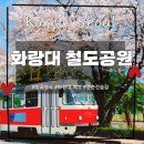경춘선 자전거도로12 | 화랑대 철도공원&#34; &#34;카페 기차가 있는 풍경&#34; 벚꽃 명소 서울의 마지막 간이역 도심 속 힐링 경춘선숲길