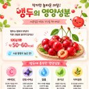 앵두나무카페 | 앵두 효능과 제철시기