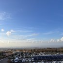 11305-10-24 | 강아지도 액티비티를 즐길 수 있는 9.81파크