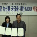 보성홀딩스 이미지