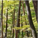 작은새재 이미지