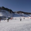 한화리조트/평창 이미지