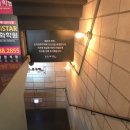 오리와 쭈꾸미 이미지