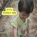 (주)또바기가족 이미지