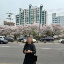 뚜띠쿠치나(응암점) 이미지