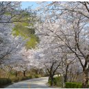 제이레저(주) 티클라우드컨트리클럽 이미지