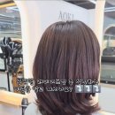 사파동204 이미지