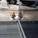 타이어프로 구미옥계점 이미지