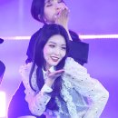 청하체육관 이미지