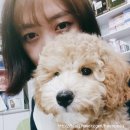 대전종합 동물병원 이미지