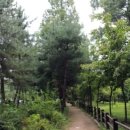 산림환경연구원 네이버블로그