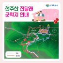 제 433회 정기 산행 경남 창원 천주산 (638m) 진달래꽃산행(2024.4.6) 이미지