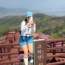 강화 고려산. 진달래와 철쭉이 가득한 곳.