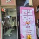 멍품유치원 | 일산 애견유치원 멍플리, 믿고 맡길 수 있는 곳!