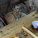 긴물스테이 이미지