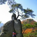10월 26일 (토) 단풍이 아름다운 춘천 오봉산, 청평사 갑니다 이미지