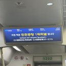 그린티네일(Green T NAil) | 🌊 2025년 푸꾸옥 여름휴가 🏝️🌺 1편 ｜ 5박 6일 중에 5번 물놀이 가는 사람이 있다? 저요저요!